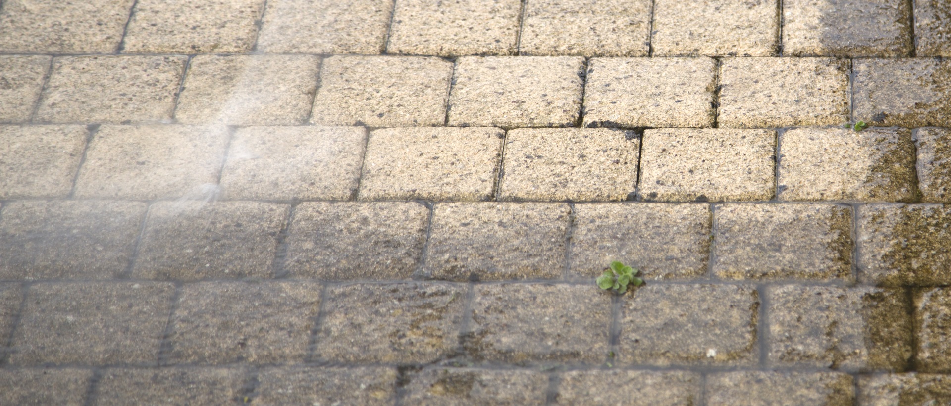 flagging and patios SE19